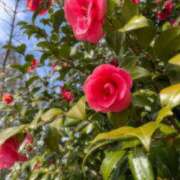 ヒメ日記 2025/07/06 19:35 投稿 りお先生 DANDY BODY