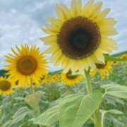 ヒメ日記 2025/08/15 19:00 投稿 りお先生 DANDY BODY