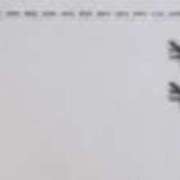 ヒメ日記 2025/10/29 20:45 投稿 りお先生 DANDY BODY