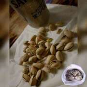 ヒメ日記 2026/01/05 23:20 投稿 りお先生 DANDY BODY