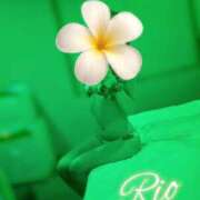 ヒメ日記 2026/02/17 23:45 投稿 りお先生 DANDY BODY