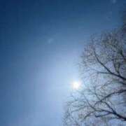 ヒメ日記 2026/03/06 23:45 投稿 りお先生 DANDY BODY