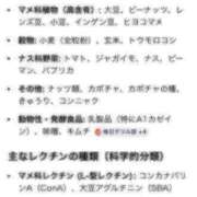 りお先生 まようじゃんか！ DANDY BODY