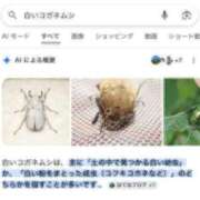 ヒメ日記 2026/07/24 23:50 投稿 りお先生 DANDY BODY
