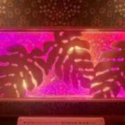 ヒメ日記 2026/08/26 23:50 投稿 りお先生 DANDY BODY