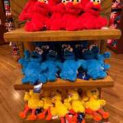 ヒメ日記 2025/01/23 10:06 投稿 りむ ちゃんこ本厚木店