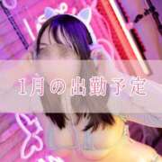 ヒメ日記 2024/12/30 08:00 投稿 はなび 深海魚