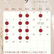 ヒメ日記 2026/08/29 12:03 投稿 はなび 深海魚