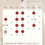 ヒメ日記 2026/09/08 12:32 投稿 はなび 深海魚