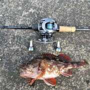 ヒメ日記 2026/01/30 18:52 投稿 みさえ 熟女の風俗最終章 仙台店