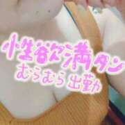 ヒメ日記 2026/06/03 13:04 投稿 みさえ 熟女の風俗最終章 仙台店