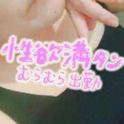 ヒメ日記 2026/09/15 15:14 投稿 みさえ 熟女の風俗最終章 仙台店