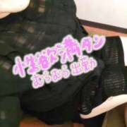 ヒメ日記 2026/09/22 12:04 投稿 みさえ 熟女の風俗最終章 仙台店