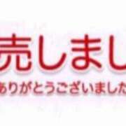 ヒメ日記 2024/02/04 12:32 投稿 星姫　あんり セレブクィーン