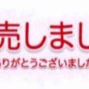 ヒメ日記 2024/10/14 14:30 投稿 星姫　あんり セレブクィーン