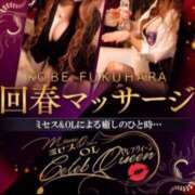 ヒメ日記 2025/11/14 08:30 投稿 星姫　あんり セレブクィーン