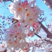 ヒメ日記 2026/04/05 17:57 投稿 星姫　あんり セレブクィーン