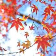 ヒメ日記 2026/10/05 20:09 投稿 水澤　りえ セレブクィーン