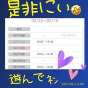 ヒメ日記 2025/02/13 21:33 投稿 西山　ひろ セレブクィーン