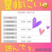 ヒメ日記 2025/04/06 23:54 投稿 西山　ひろ セレブクィーン