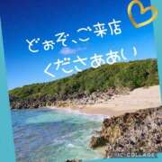 ヒメ日記 2025/05/24 11:04 投稿 西山　ひろ セレブクィーン