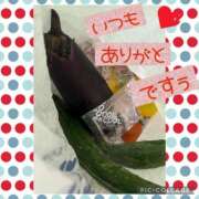 ヒメ日記 2025/06/27 14:04 投稿 西山　ひろ セレブクィーン