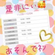 ヒメ日記 2025/11/29 00:12 投稿 西山　ひろ セレブクィーン