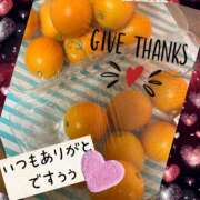ヒメ日記 2026/02/26 12:04 投稿 西山　ひろ セレブクィーン