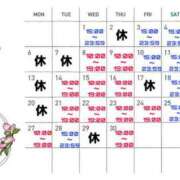 ヒメ日記 2026/04/08 10:36 投稿 観月　アナン セレブクィーン