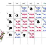 ヒメ日記 2026/04/16 13:53 投稿 観月　アナン セレブクィーン