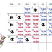 ヒメ日記 2026/04/23 17:32 投稿 観月　アナン セレブクィーン
