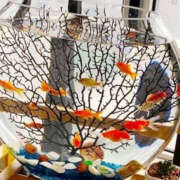 ヒメ日記 2025/06/18 23:21 投稿 蓮実　ふわり セレブクィーン