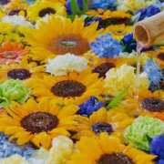 ヒメ日記 2025/07/10 20:57 投稿 蓮実　ふわり セレブクィーン