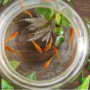 ヒメ日記 2025/09/18 07:04 投稿 蓮実　ふわり セレブクィーン