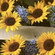 蓮実　ふわり ふわり セレブクィーン