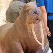 ヒメ日記 2024/12/09 10:00 投稿 桃井　もも セレブクィーン