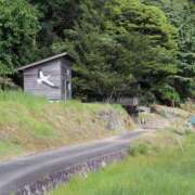 ヒメ日記 2024/12/31 10:00 投稿 桃井　もも セレブクィーン