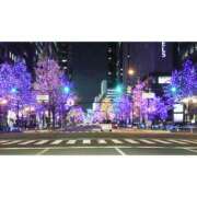 ヒメ日記 2025/01/12 10:00 投稿 桃井　もも セレブクィーン