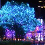 ヒメ日記 2025/01/14 10:00 投稿 桃井　もも セレブクィーン