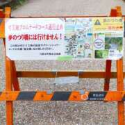 ヒメ日記 2025/02/02 10:00 投稿 桃井　もも セレブクィーン