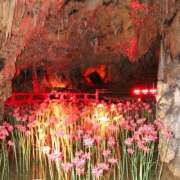 ヒメ日記 2025/02/21 10:00 投稿 桃井　もも セレブクィーン