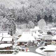 ヒメ日記 2025/04/03 10:00 投稿 桃井　もも セレブクィーン