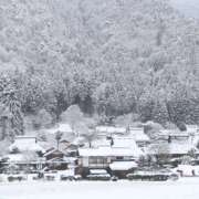 ヒメ日記 2025/04/04 09:59 投稿 桃井　もも セレブクィーン