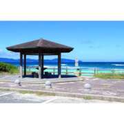 ヒメ日記 2025/04/07 09:59 投稿 桃井　もも セレブクィーン