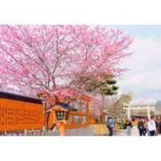 ヒメ日記 2025/04/23 10:00 投稿 桃井　もも セレブクィーン