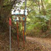 ヒメ日記 2025/04/29 09:59 投稿 桃井　もも セレブクィーン