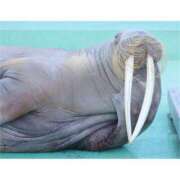 ヒメ日記 2025/05/27 10:00 投稿 桃井　もも セレブクィーン