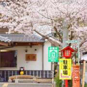 ヒメ日記 2025/06/07 10:00 投稿 桃井　もも セレブクィーン