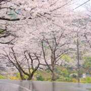 ヒメ日記 2025/06/13 10:00 投稿 桃井　もも セレブクィーン