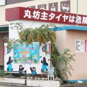 ヒメ日記 2025/06/14 10:00 投稿 桃井　もも セレブクィーン